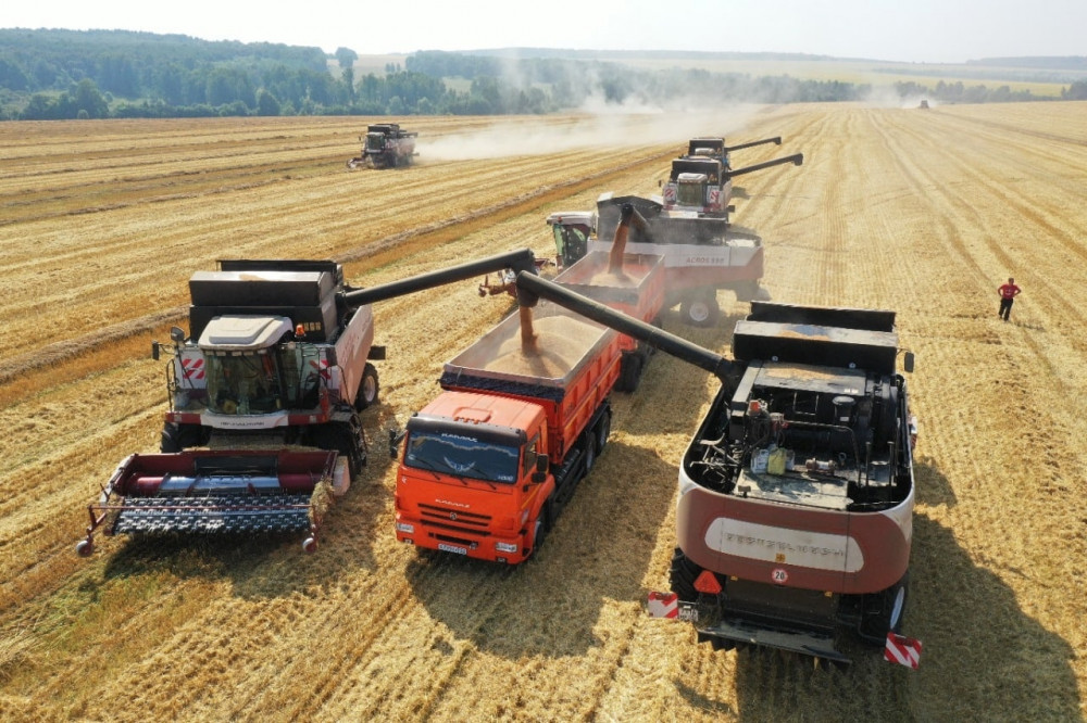 В Башкортостане собрали более 1,3 млн тонн зерна